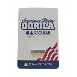 Gorila reg (Py)