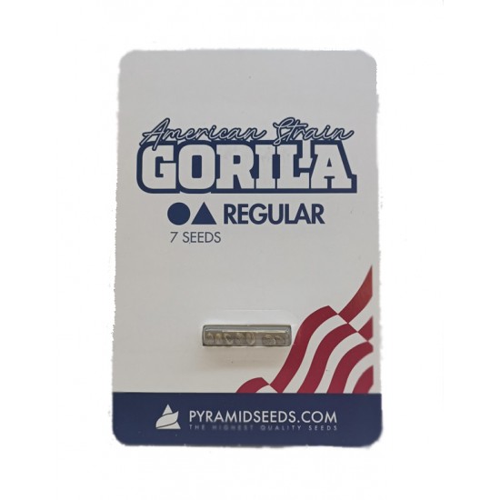Gorila reg (Py)