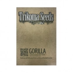 Gorilla fem (TrkS)