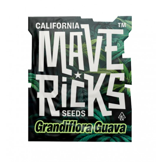 Grandiflora Guava Fem photofem (Mvr)