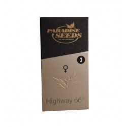 Highway 66 fem (P)