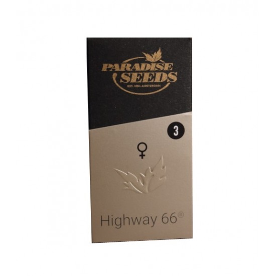 Highway 66 fem (P) Highway 66 fem (P)