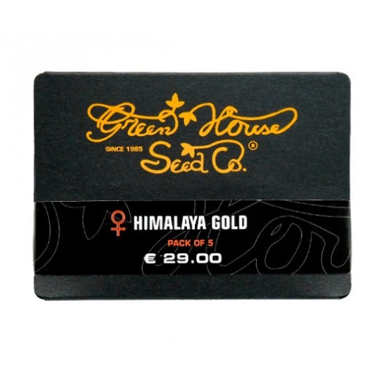 Himalaya Gold (Feminised) fem (GHS)