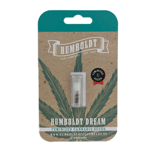 Humboldt Dream Fem (HmbSC)