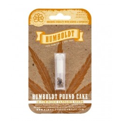 Humboldt Pound Cake Fem (HmbSC)
