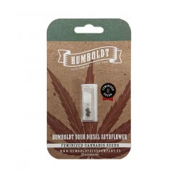 Humboldt Sour Diesel Auto autofem (HmbSCo)