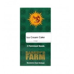 Ice Cream Cake fem (Brn)