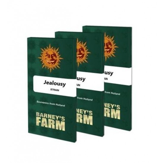 Jealousy fem (Brn)
