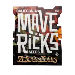 Kiwi x Cookie Dog Auto autofem (Mvr)