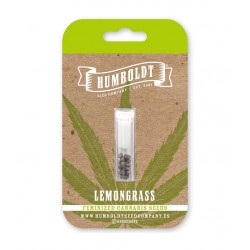 Lemongrass fem photofem (HmbSCo)