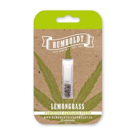 Lemongrass fem photofem (HmbSCo)