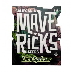 Lime Spritzer Auto autofem (Mvr)