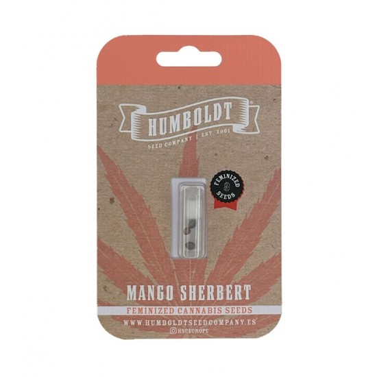 Mango Sherbert fem (HmbSCo)