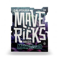 Motor Breath fem (Mvr)