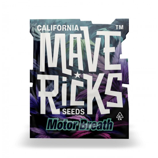 Motor Breath fem (Mvr)