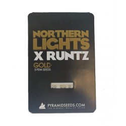 Northern Lights x Runtz fem (Py)