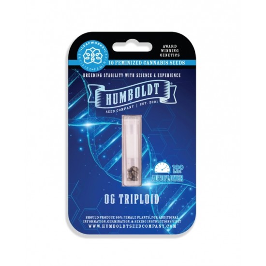 OG Triploid Auto autofem (HmbSC) NEW 2025