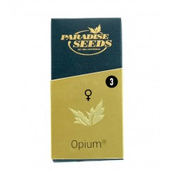 Opium fem (P)