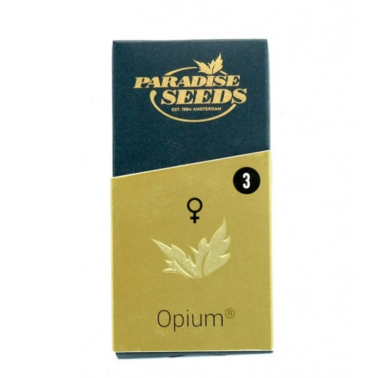 Opium fem (P)