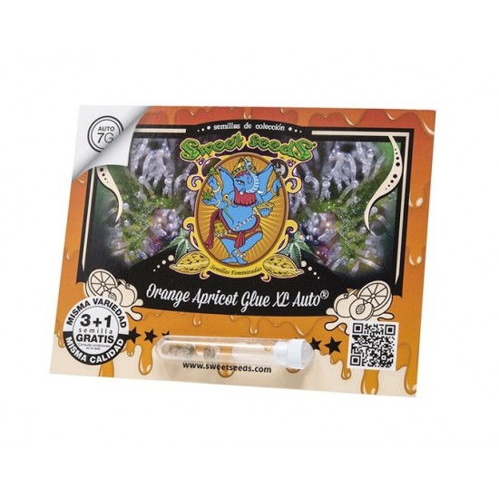 Orange Apricot Glue XL Auto autofem (SwS) Orange Apricot Glue XL Auto autofem (SwS)