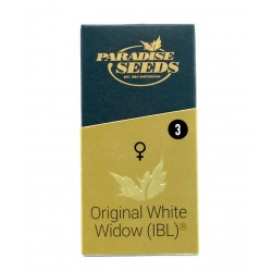 Original White Widow fem (P)