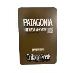 Patagonia Fast Version fem (TrkS)