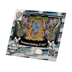 Permanent Jealousy XL Auto autofem (SwS) NEW 2025