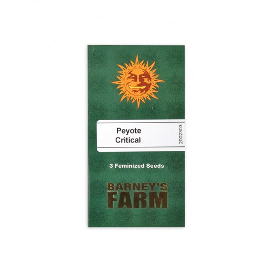 Peyote Critical fem (Brn)