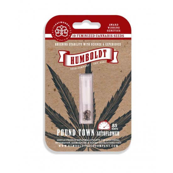 Pound Town Auto autofem (HmbSC)