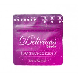 Purple Mango Kush fem (DelC) NEW 2025