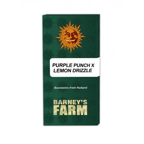 Purple Punch x Lemon Drizzle fem (Brn)