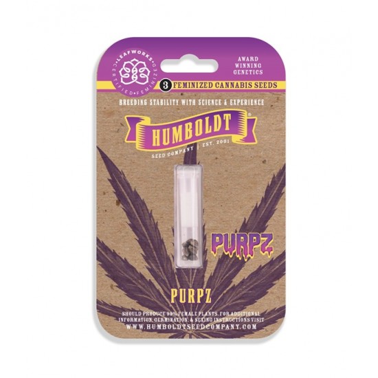 Purpz fem (HmbSCo)