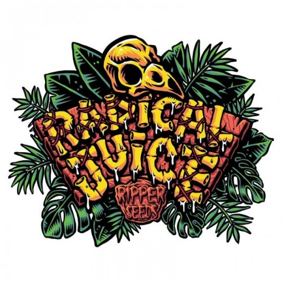 Auto Radical Juice autofem (RipS) Auto Radical Juice autofem (RipS)