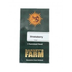 Shiskaberry fem (Brn)