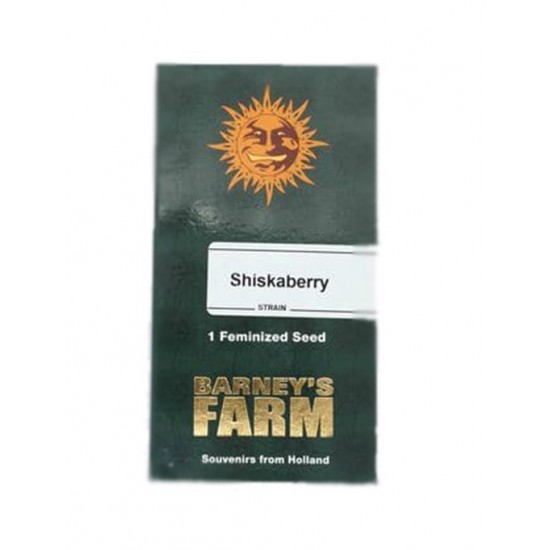 Shiskaberry fem (Brn) Shiskaberry fem (Brn)