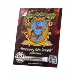Strawberry Cola Sherbet F1 Fast Version fem (SwS)