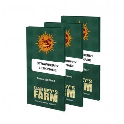 Strawberry Lemonade fem (Brn)