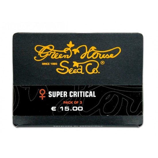 Super Critical Auto (Feminised) autofem (GHS)