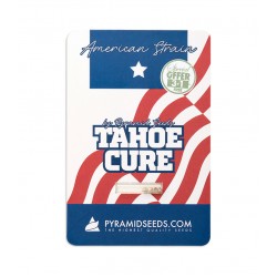 Tahoe Cure fem (Py)