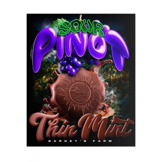 Thin Mint x Sour Pinot auto autofem (Brn)
