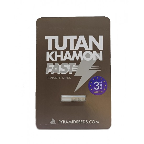 Tutankhamon Fast fem (Py)