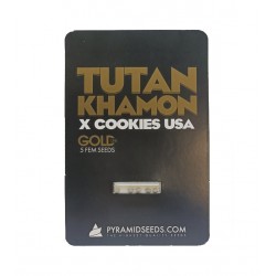 Tutankhamon x Cookies USA fem (GOLD_Py)