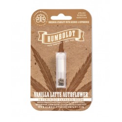 Vanilla Latte Auto (Feminised) autofem (HmbSC)