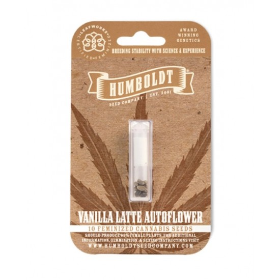 Vanilla Latte Auto (Feminised) autofem (HmbSC) Vanilla Latte Auto (Feminised) autofem (HmbSC)