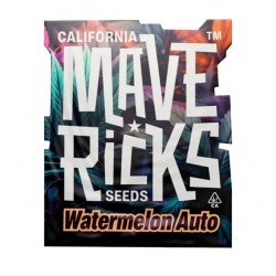 Watermelon Auto autofem (Mvr)