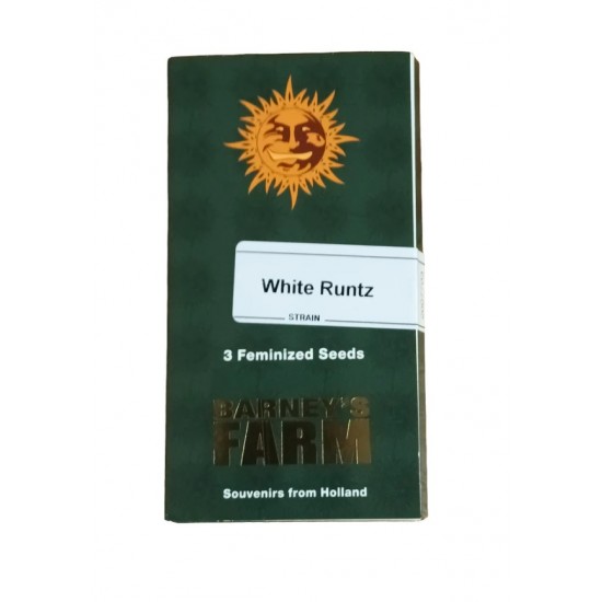 White Runtz fem (Brn) NEW 2025