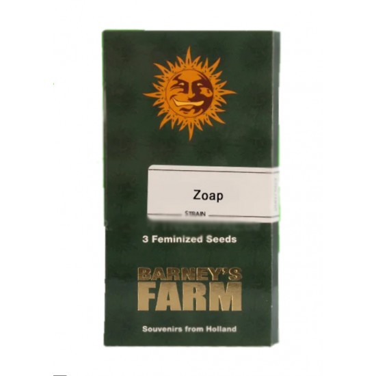 Zoap fem (Brn)