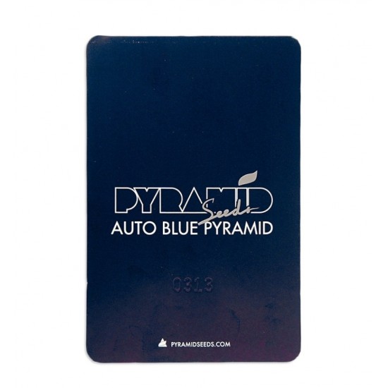 Auto Blue Pyramid autofem (Py)
