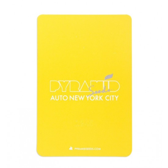 Auto New York City autofem (Py)