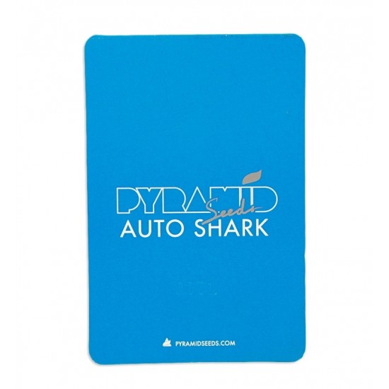 Auto Shark autofem (Py)